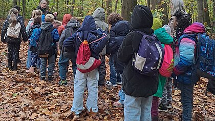 Pellentesque egestas neque